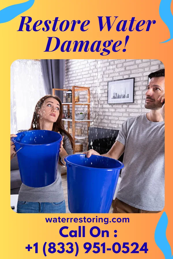 water restoration Eco Water Cleanup Masters Sherwood