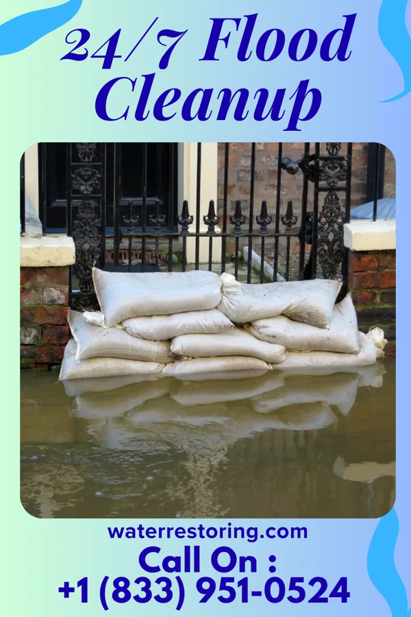 24/7 Flood Cleanup in Sherwood, MI