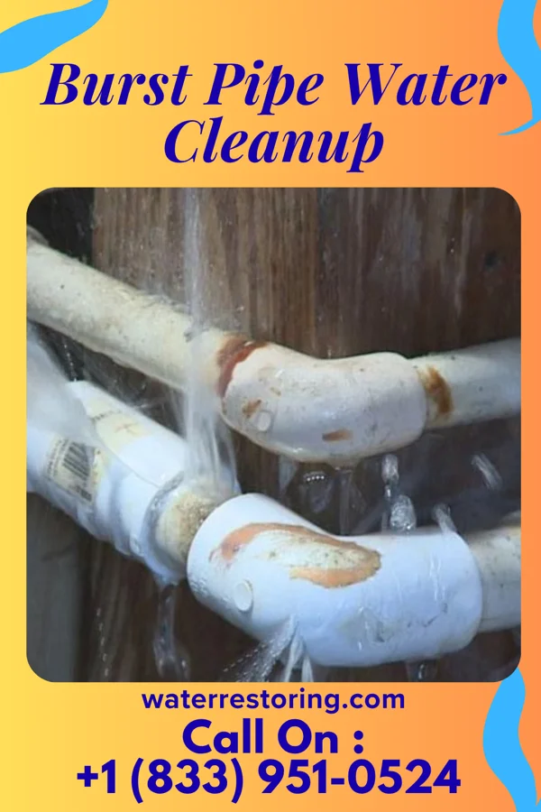 Burst Pipe Water Cleanup in Sherwood, MI
