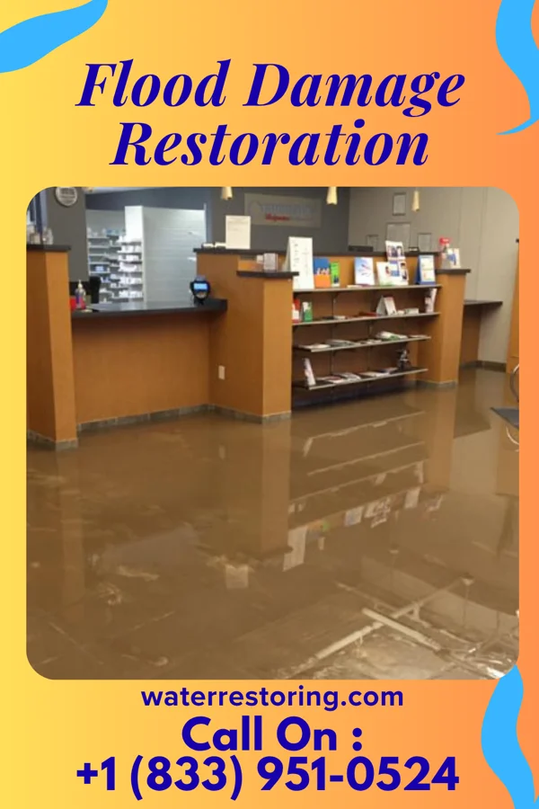 Flood Damage Restoration in Sherwood, MI