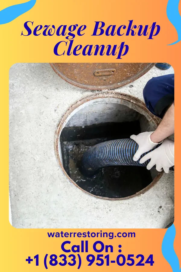 Sewage Backup Cleanup in Sherwood, MI