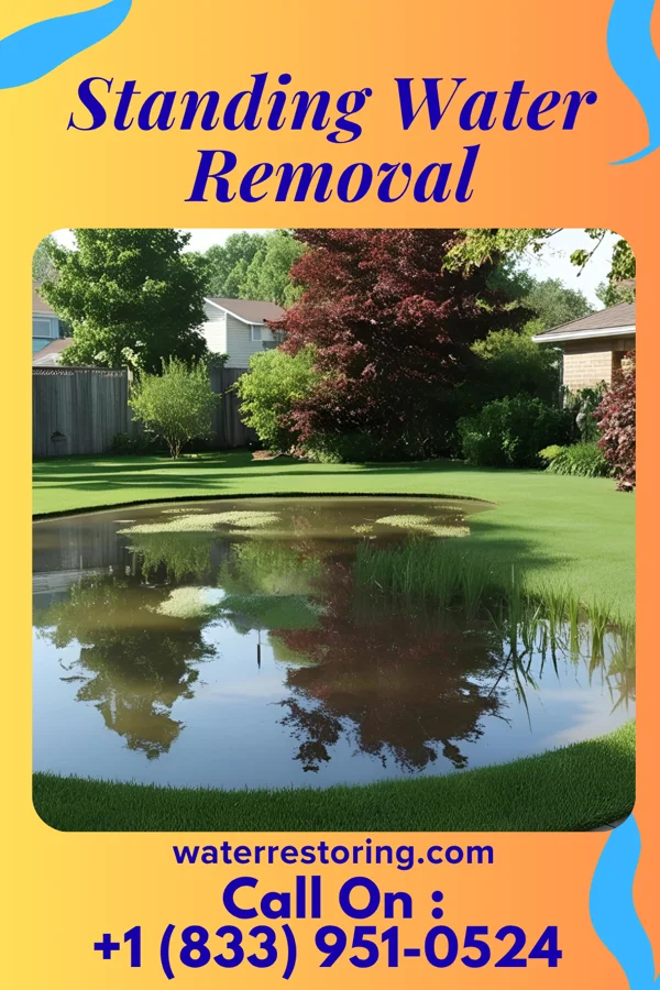 Standing Water Removal in Sherwood, MI